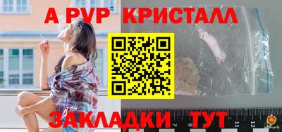шишки Аргун