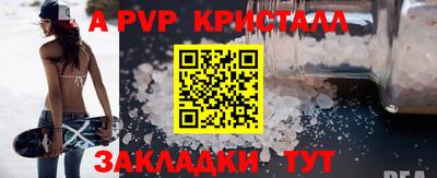 шишки Аргун