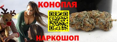 шишки Аргун