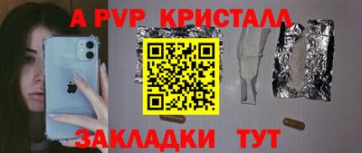 шишки Аргун