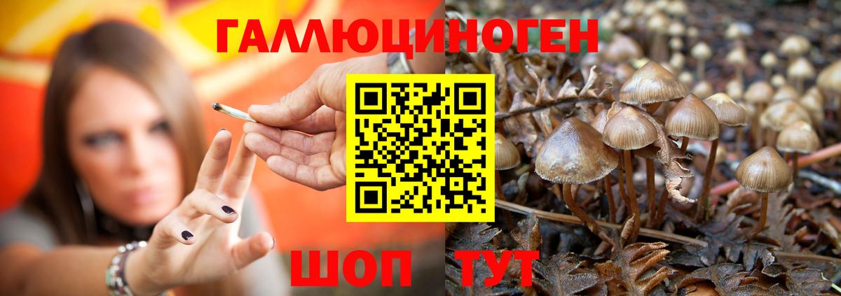 Галлюциногенные грибы MAGIC MUSHROOMS Артём