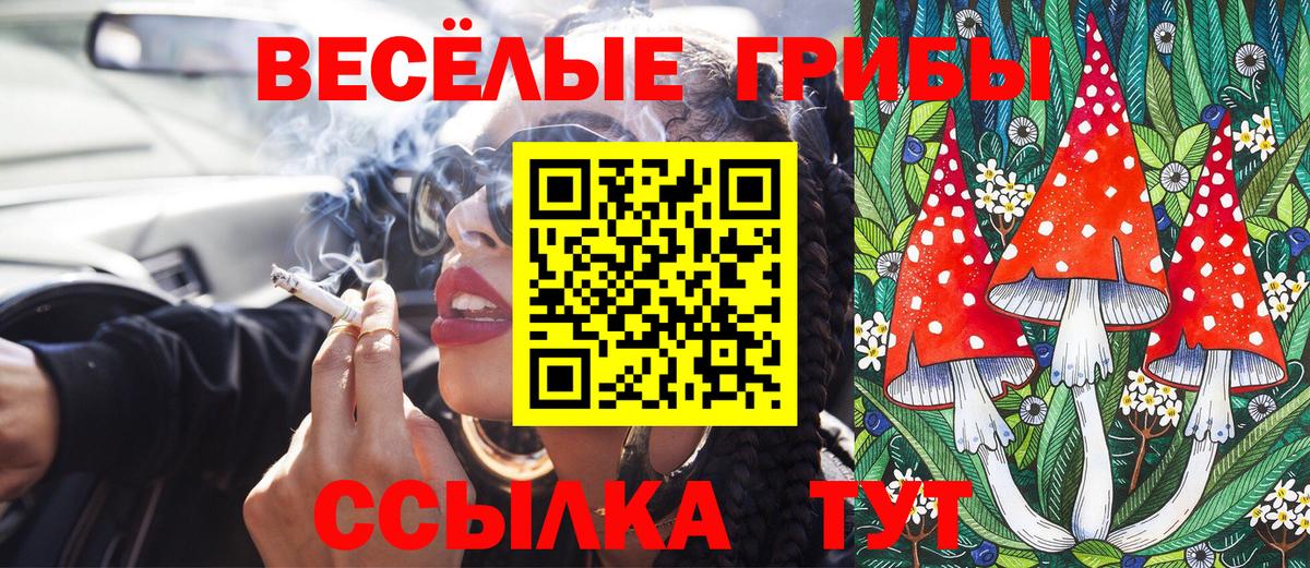 Псилоцибиновые грибы мухоморы  Псилоцибиновые грибы GOLDEN TEACHER  Артём  Вход с VPN 